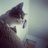 MidderTibbles's profile image