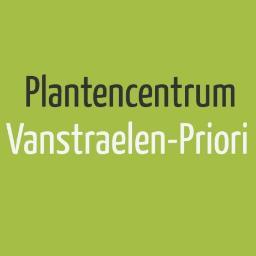 Bij ons kan u niet enkel terecht voor de mooiste planten, u kan er ook een ruime keuze aan decoratie, snijbloemen en bloemstukken terugvinden. Kom zeker langs!