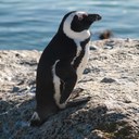 David Sevcik - @SevcikDavid - Twitter