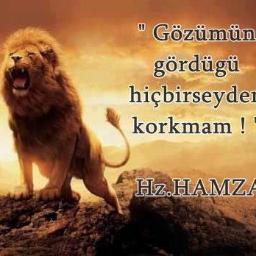 _culcu's profile picture. 