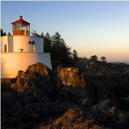 rakaan86808882's profile picture. rakaan12@