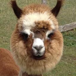 ComputerBased's profile picture. #Entrepreneur #Assurance #Insurance interested in #eCRM #WebMarketing #SEO #SoLoMo #SocialMedia #LeadGeneration #WordPress #Finance