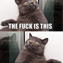 Travis W Holmes - @TheTravisHolmes - Twitter