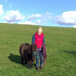 ShetlandPonyTV's profile picture. the best ponies come in small packages