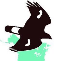 hmanahawkwatch (@hmanahawkwatch) 's Twitter Profile