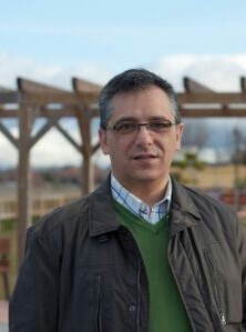 Dr. Ingeniero Industrial.                   Profesor titular UPM