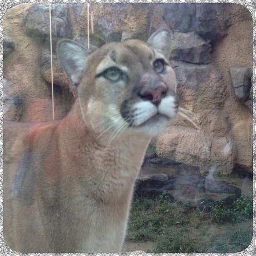 basicim's profile picture. 