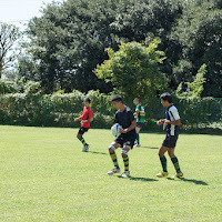 Rugby player in high school/in Japan / 1996,12,25/I want you to be friend !!Follow me and talk with me.Love Chrish Ashton !!