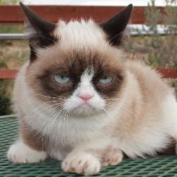 tzfld's profile picture. Lustaságra nincs kifogás... de ha találsz, szólj.