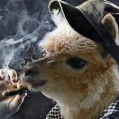 興味惹かれたニュースを呟きます。あと、面白そうなツイートにはウザ絡みします。しんどかったらブロックしてね。