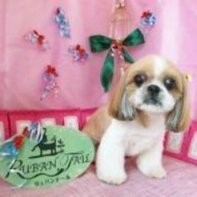 アバン かなえ ギャルド Dommydommydommy 相席居酒屋ーからの姫路3ldkでーと