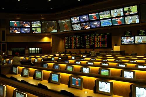 This account is dedicated to sports betting. I like hearing what trends are out there and participate in this amazing betting community on twitter. #followback