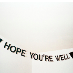 openhand_ny's profile picture. インテリア、デザイン、建築、美術館、旅行、読書、弟（犬）