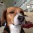 Vic__Holmes's profile image