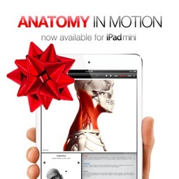 where anatomy nerds come to learn and play