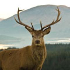 MPScotland's profile picture. Follow us to keep up with all the latest news about the new Scottish division of McVeigh Parker fencing, farming and equestrian supplies.