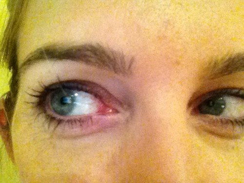 Valeria_Solazzo's profile picture. 