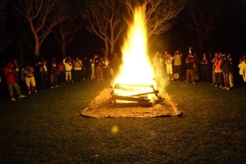 Mirrors_Bda's profile picture. 