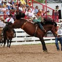 Heath Ford - @FordHeath - Twitter