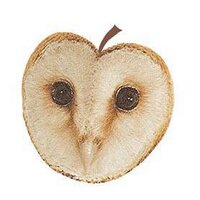 Andrew Ritchie (@wiseowlcider) 's Twitter Profile