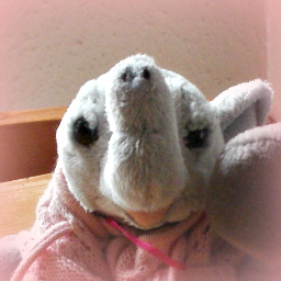 Eliza__EB's profile picture. I'm on Twitter because of @Esprit_EB, she's my wonderful best friend!