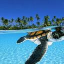 Gregory Wesley - @gregwesley95 - Twitter