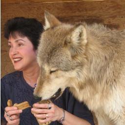 BariRuggiero's profile picture. Originally from Boston, Massachusetts, currently live in England. I Love ALL animals, ALL life deserves humane treatment, NO tolerance for abuse...