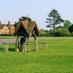 Brockham Housing (@brockhamhousing) Twitter profile photo