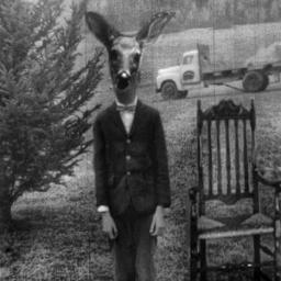 DjananeToWild's profile picture. 