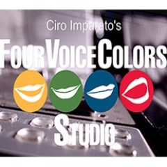 Welcome to the FourVoiceColors® Recording Studio, Turin, Italy. We use FourVoiceColors® method to enhance actor's emotions, for more true recordings