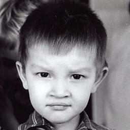 WindomEarle21's profile picture. In a world where death is the hunter, my friend, there is no time for regrets or doubts. There is only time for decisions.