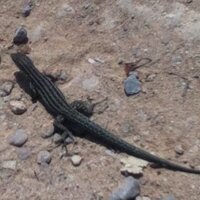 Geoff (@geoff360) 's Twitter Profile