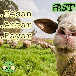 Layanan Aqiqah Yang Sesuai Sunnah, Mudah, Terjangkau.