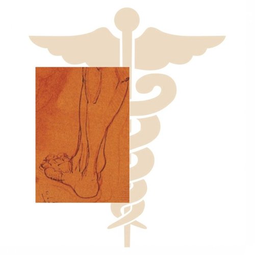 PodInstitute's profile picture. The Podiatry Institute is a non-profit teaching organization.  Our focus is excellence in foot and ankle care through education.