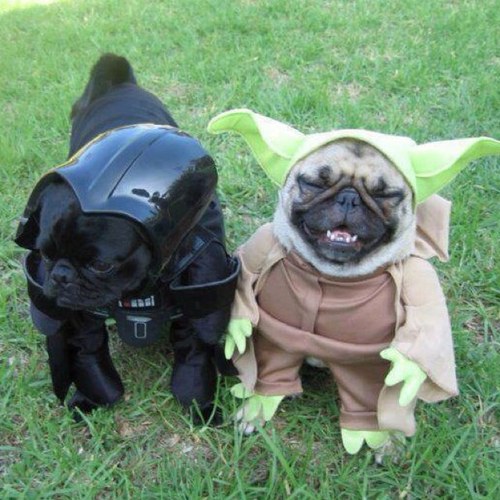 BiiitchFollowMe's profile picture. https://t.co/m4QDe0tDIC