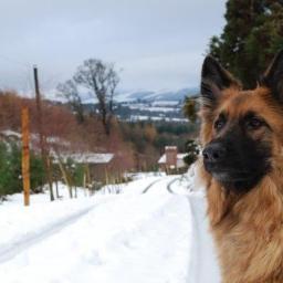 gerrytuohy's profile picture. 