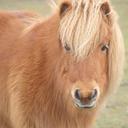 lisa - @LisaSchut106 - Twitter