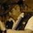 MarkWaller19's profile image