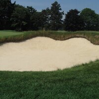Angelo Capannelli (@sandmerchant) 's Twitter Profile
