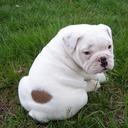 Joel Torrez - @joel2012 - Twitter