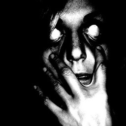 djdestruct's profile picture. 