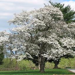 fwlandscapes's profile picture. 