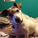 naima brown - @NaimaBrown - Twitter