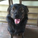 gilbert sison - @gibetray - Twitter