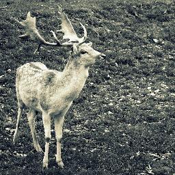 louy_fr's profile picture. 