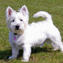 Debbie Tween - @DeborahHiggs2 - Twitter