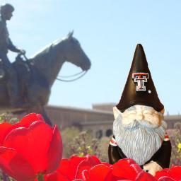 Just another garden gnome trying to find his place in the world... Guns Up...