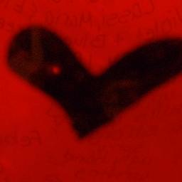 XxLove2DancexX's profile picture. 