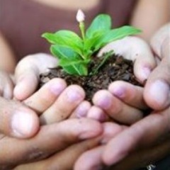 Inspiring Youth to GROW through Mentoring, Youth Work & Conflict Resolution