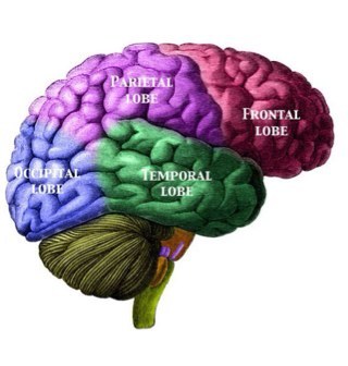 Interesting facts through the eyes of psychology